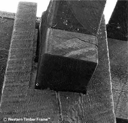 conventional traditional dovetail crack