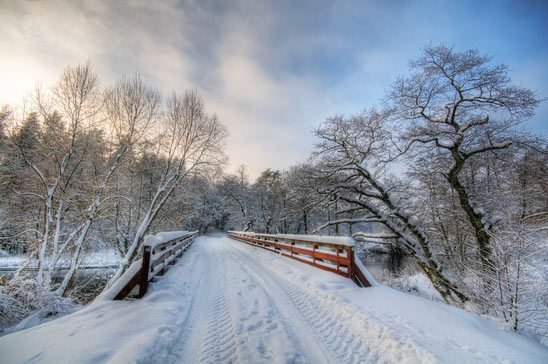 winter-white-timber-bridge