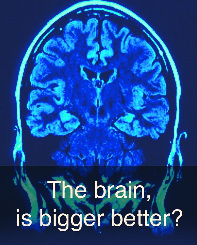 brain-better-bigger