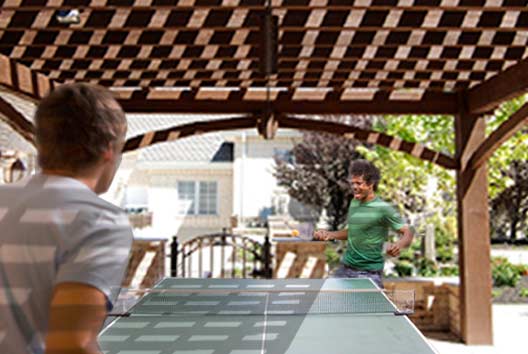 ping pong game shade