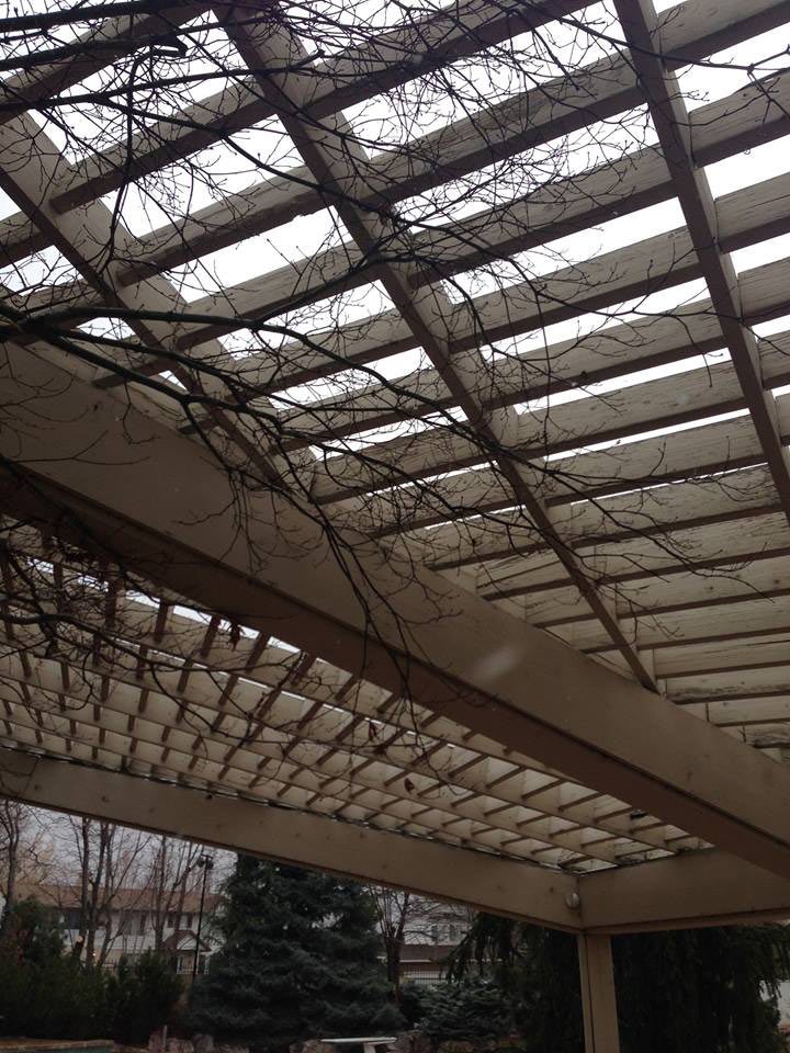 rotting pergola roof