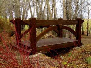 Bridge