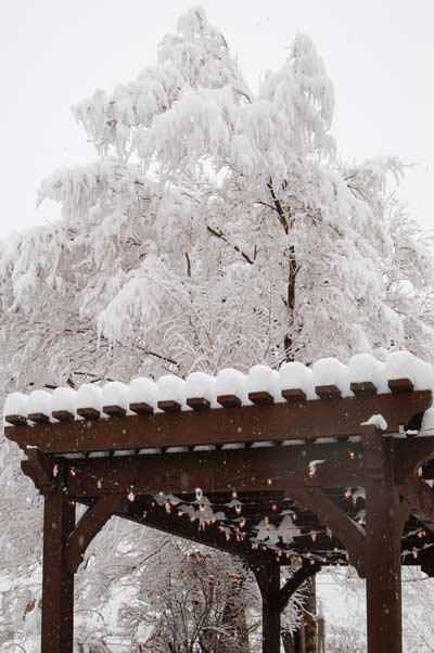 use-winter-snow-pergola
