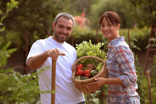 picking-vegetables-s