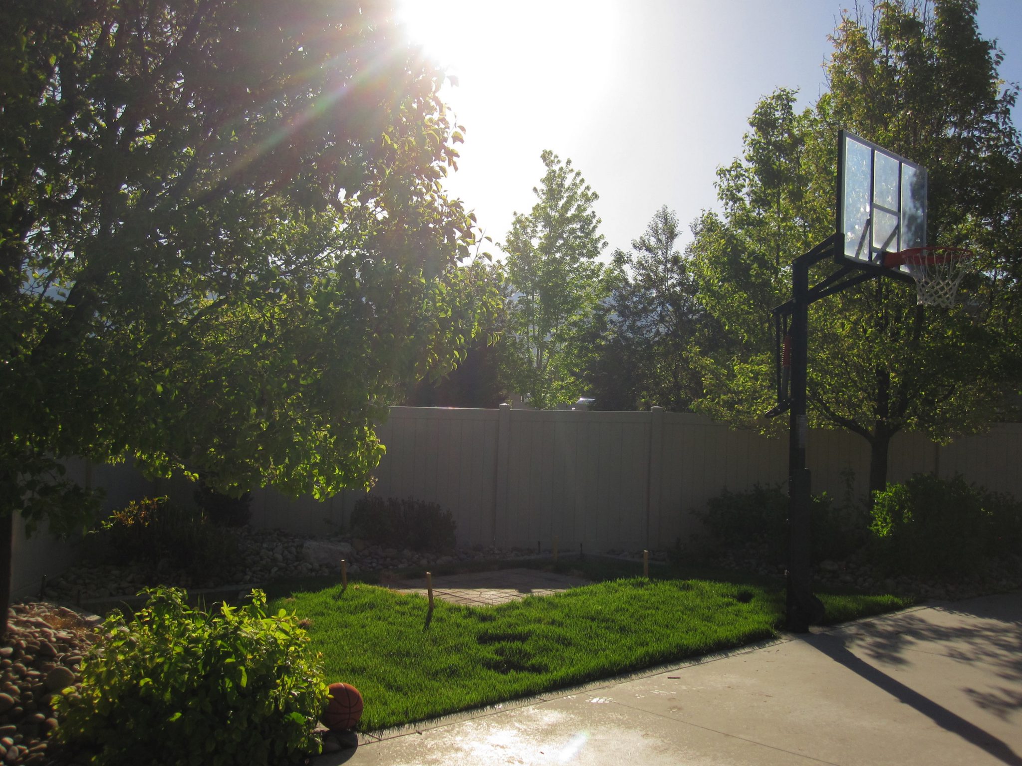 Hess-6x10-FS-Arbor-Before-pic-3