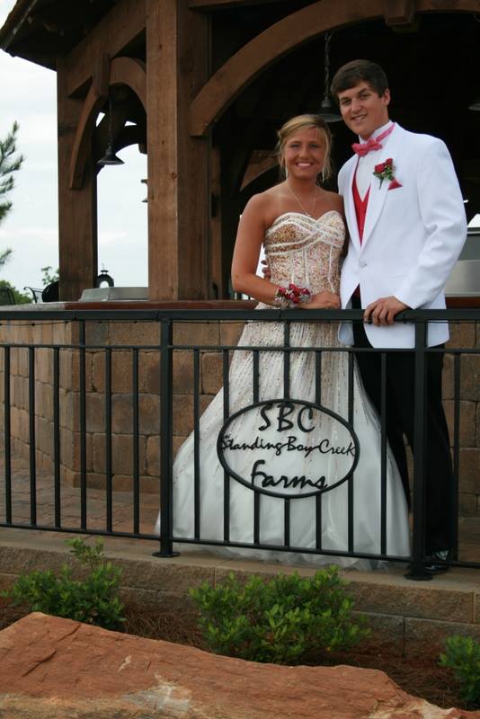 white-wedding-pergola-kit