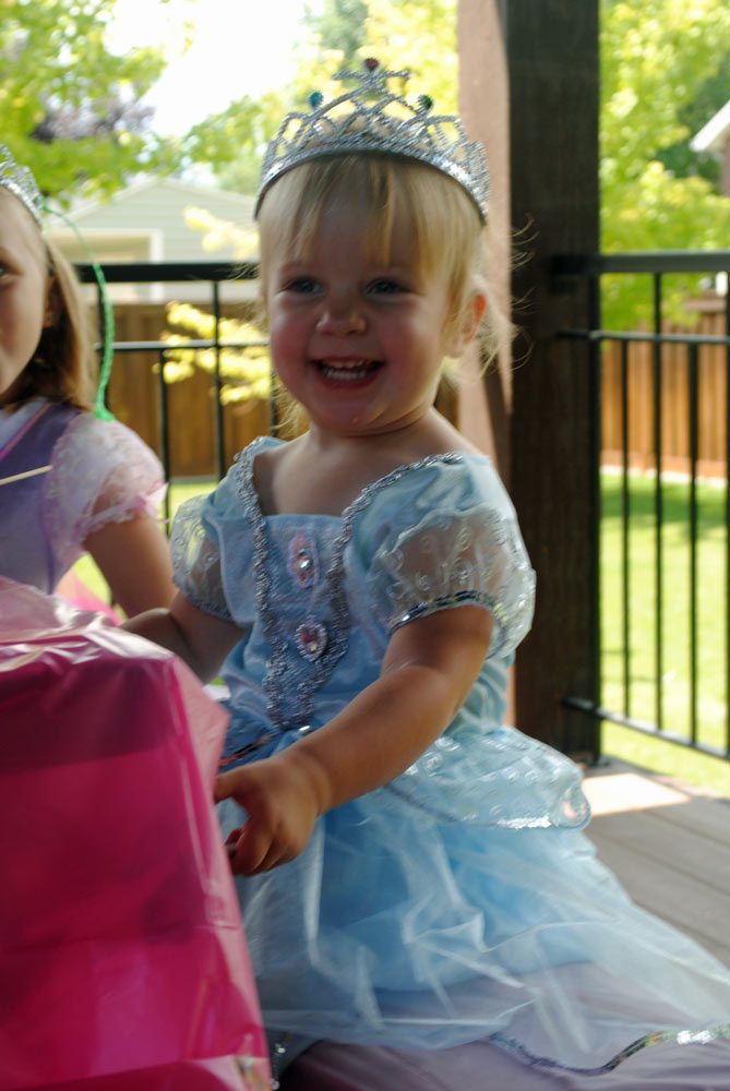 Happy-princess princess pergola