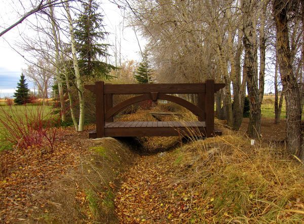 Mclellan-bridge-accessories-fall solid bridge bridge