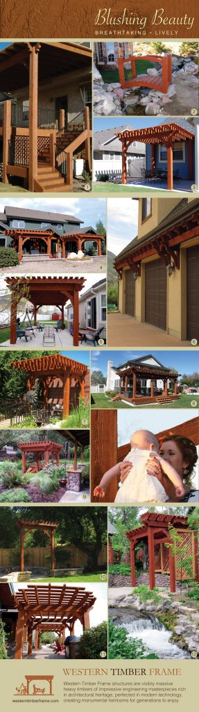 rich sequoia stain pergola arbor