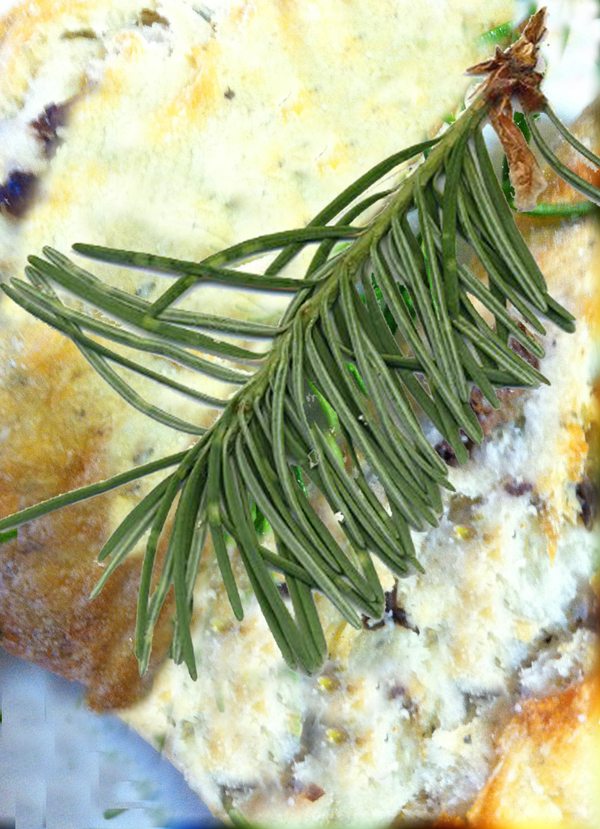 bread-with-douglas-fir-needle