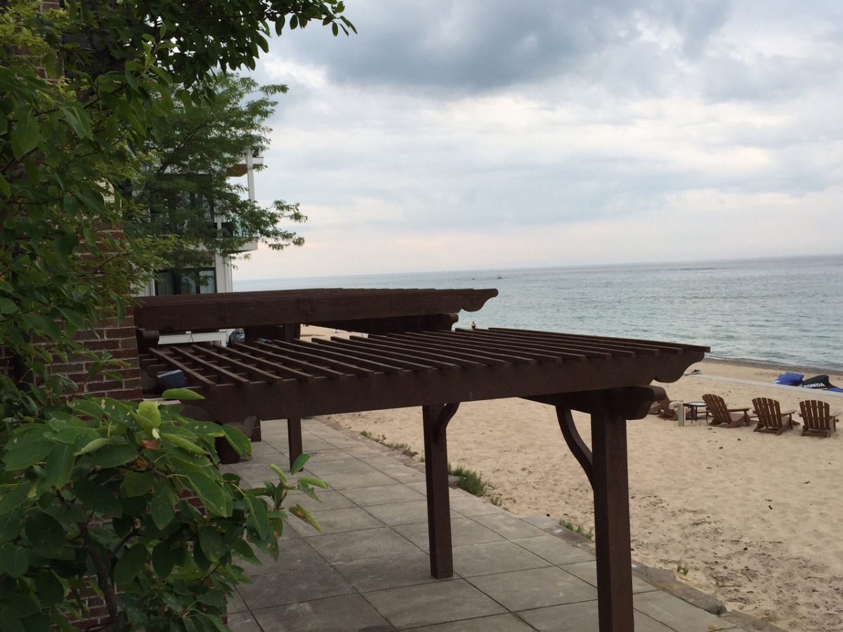 stevecarson4 shade timber pergola