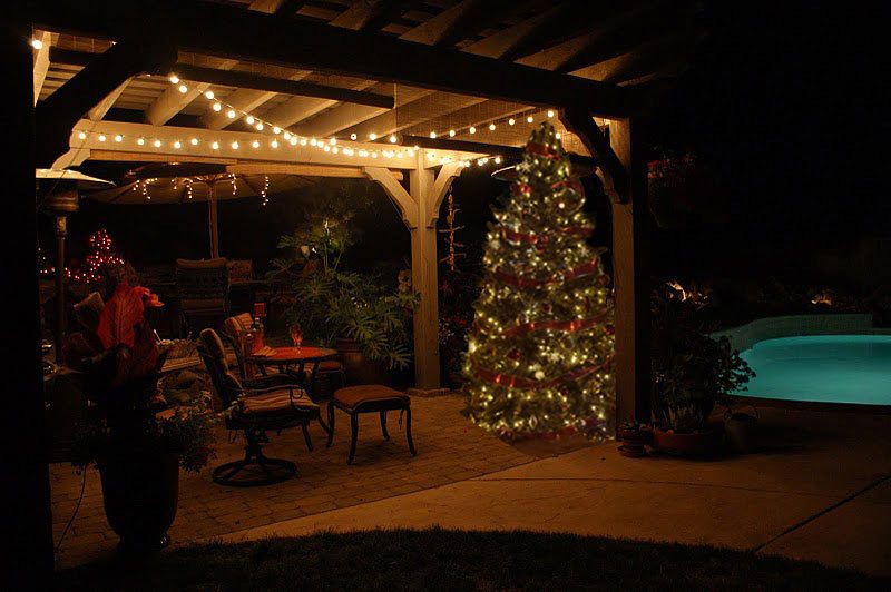 night-bowen-christmas-tree