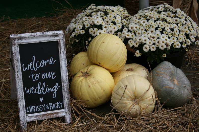 welcome to wedding