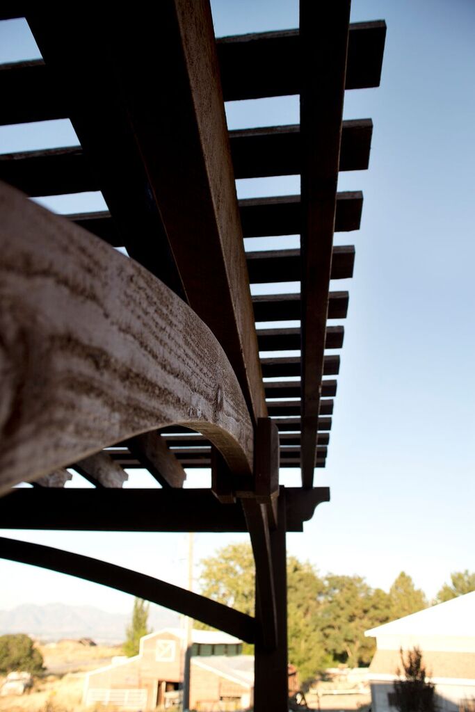campbell-arch-on-pergola campbell-arch-on-pergola
