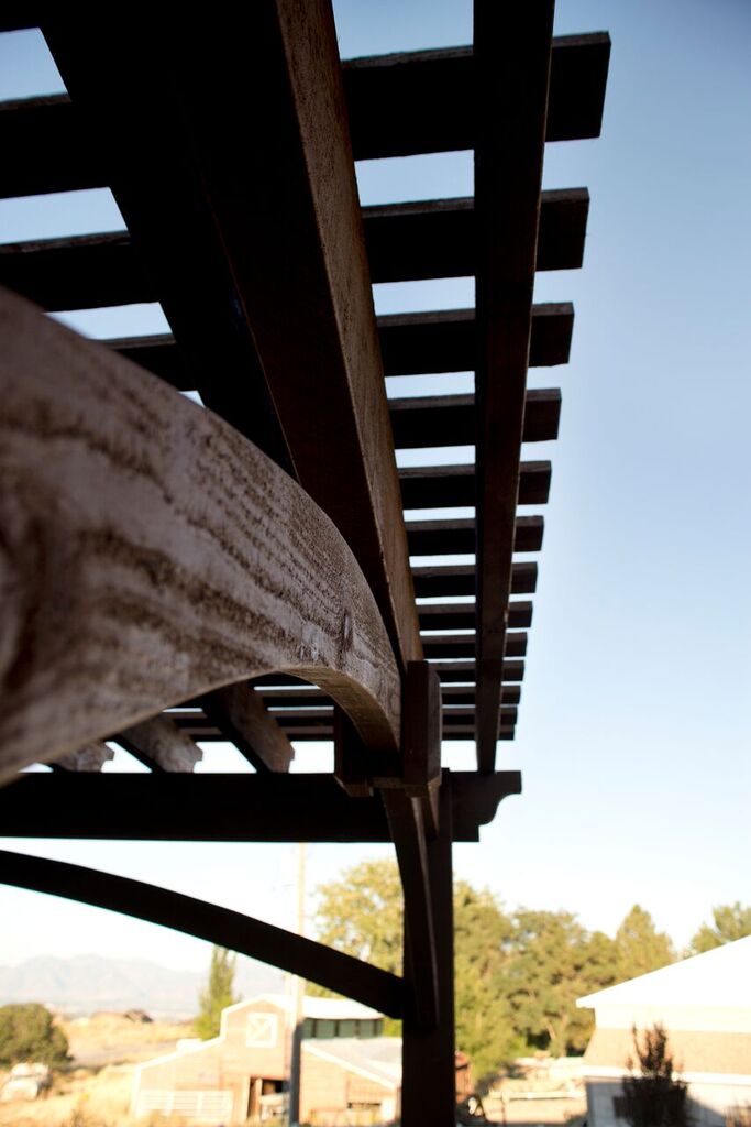 campbell-arch-on-pergola