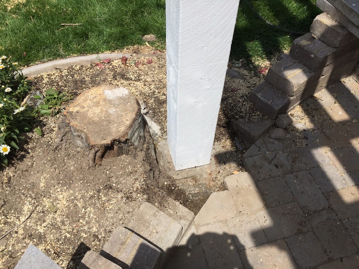 fisher-matt-post-of-pergola Post of pergola in ground