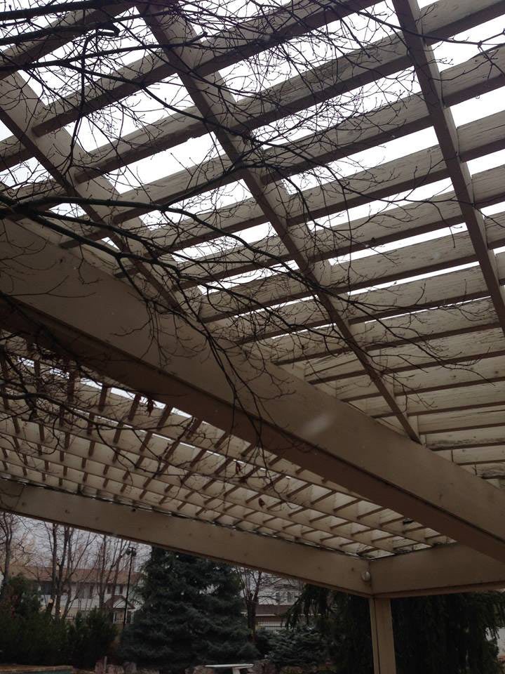 johnson-old-pergola-replace3 rotting pergola roof