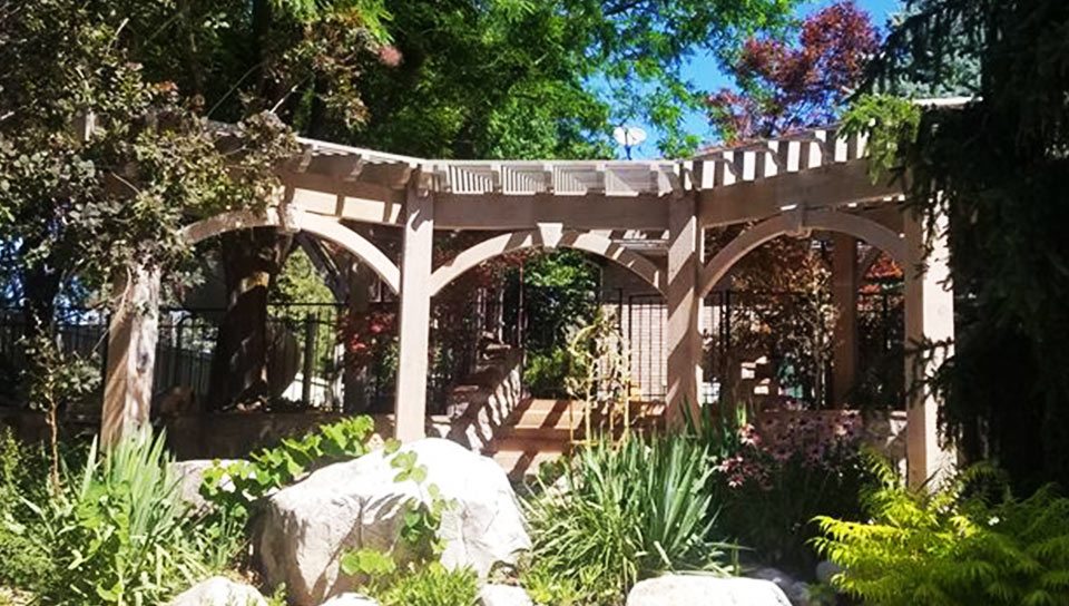 johnson-pergola00 metal wood pergola replaced