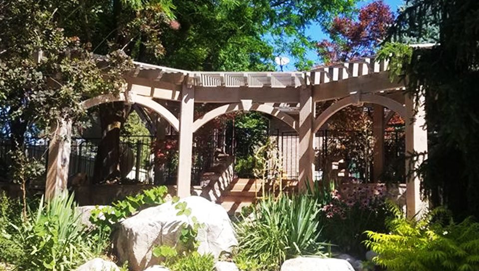 metal wood pergola replaced