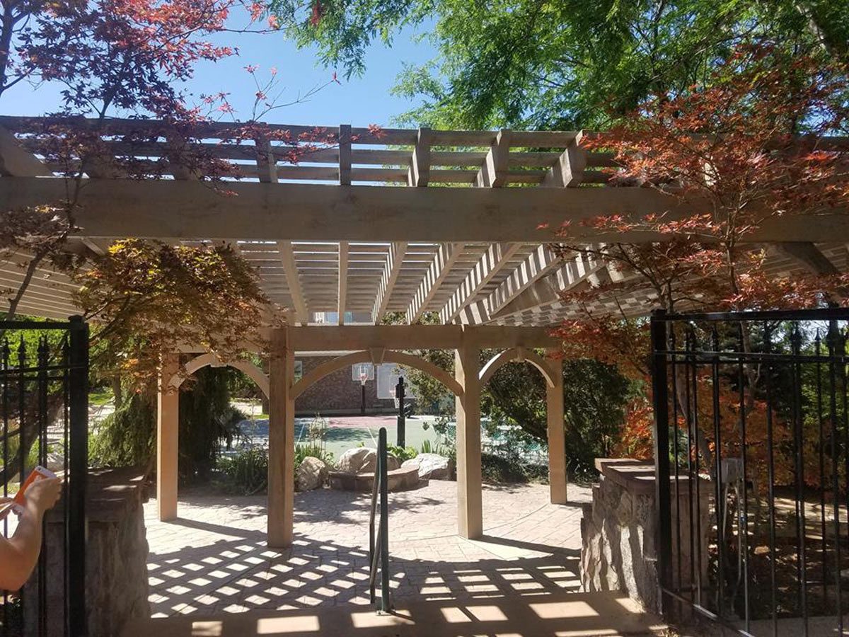 swim pool pergola shade