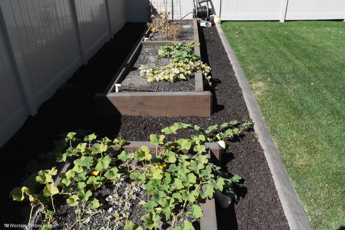allred-grow-boxes