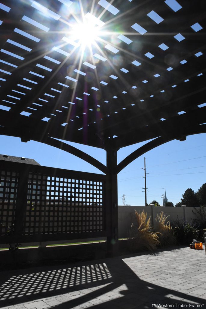 allred-pergola-sunlight