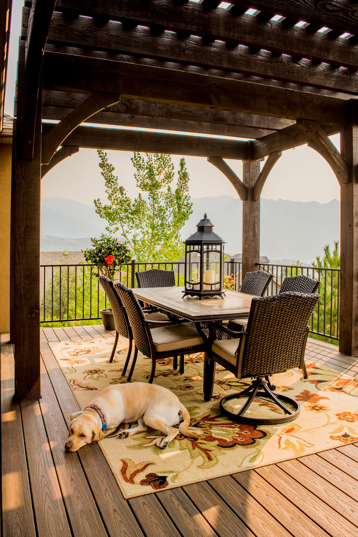 becker-scott-pergola-dog dog pergola