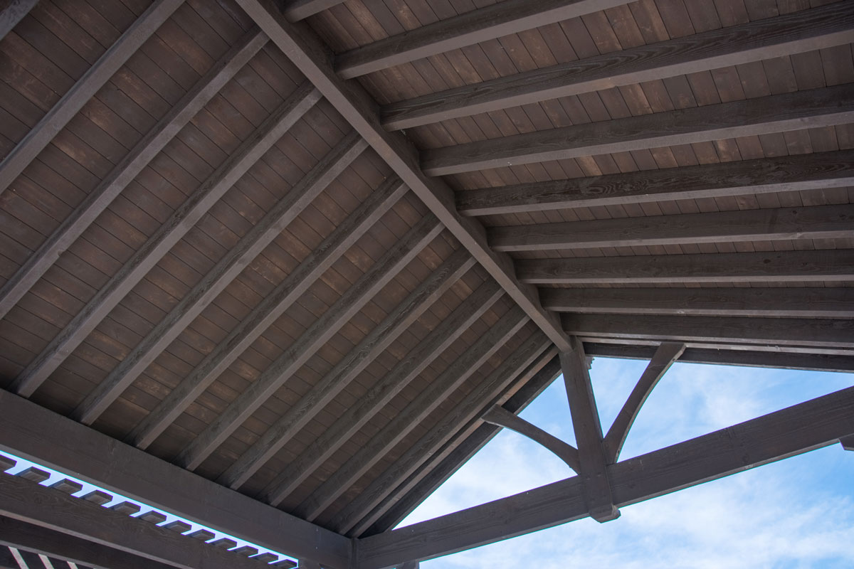 Proctor-pavilion-roof12