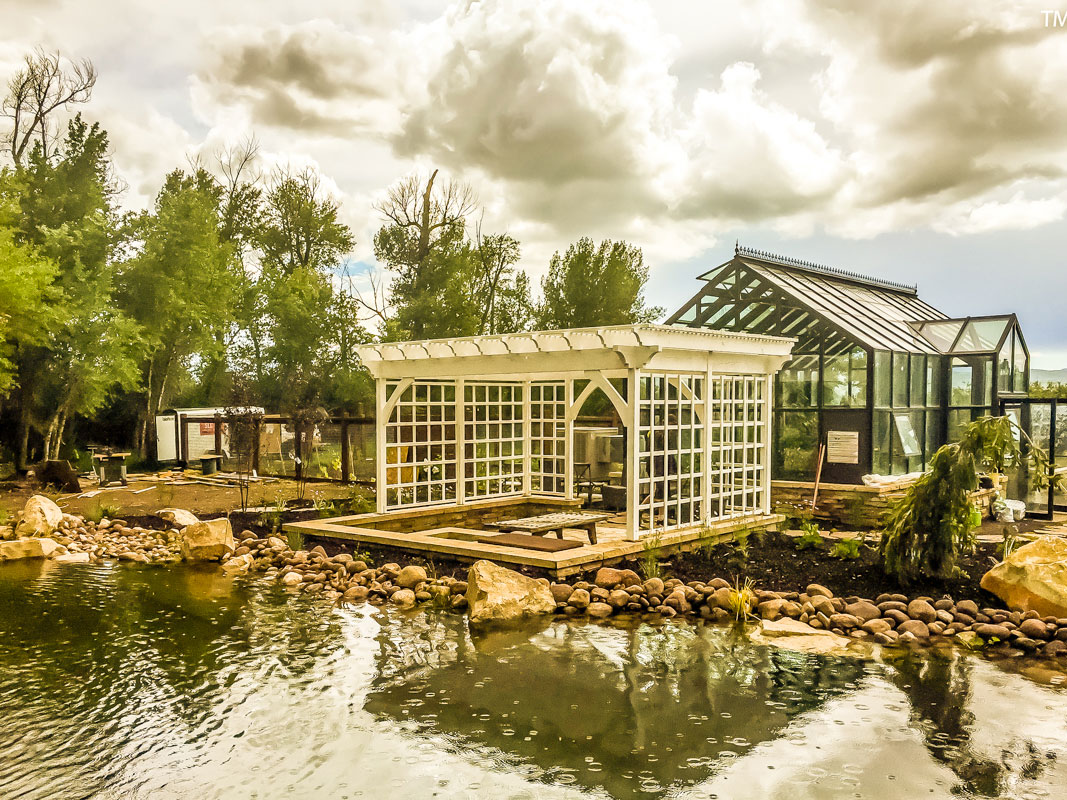 Pergola with latticed walls