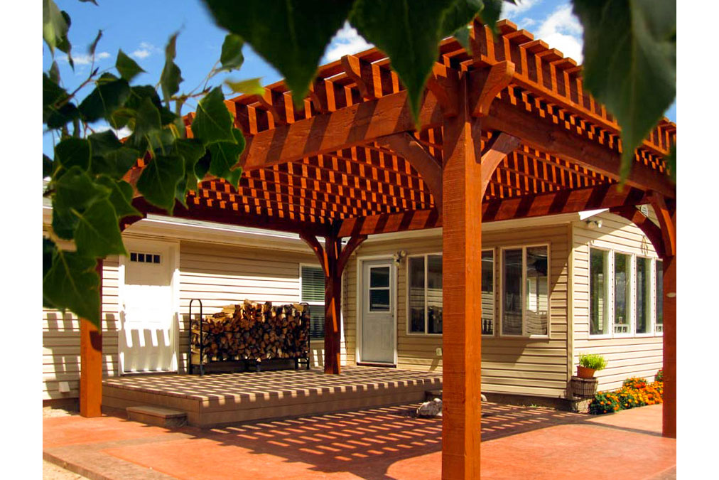 jensen-shadescape-pergola-tree1