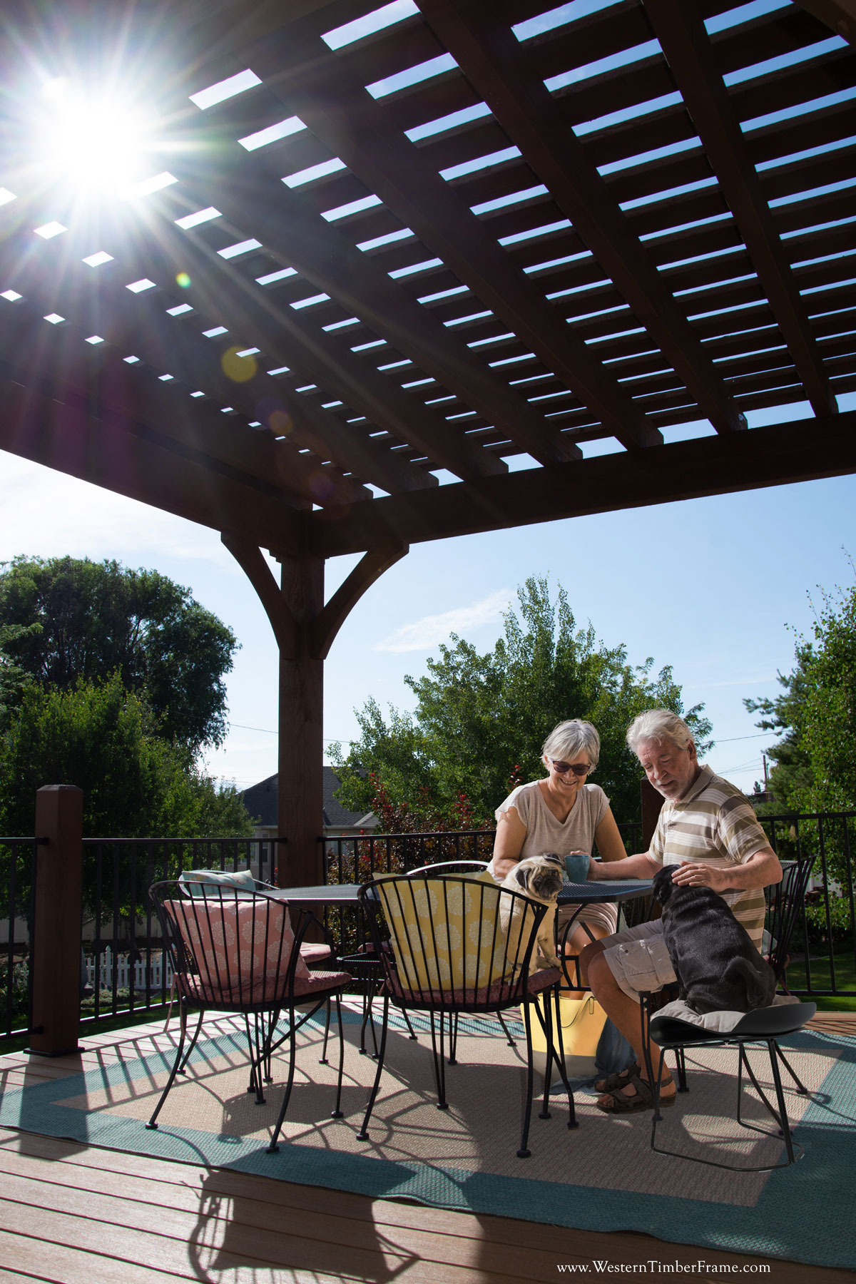 couple sunlight pergola dogs shade