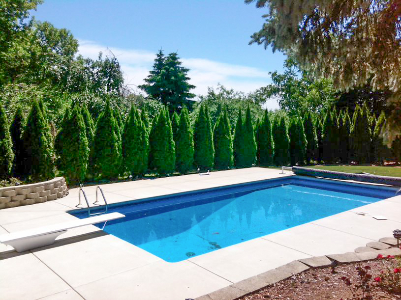 The swimming pool before pavilion install