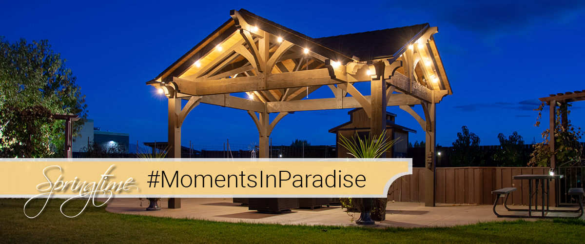 Springtime #MomentsInParadise