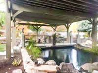 fish-pond-pergola fish pond
