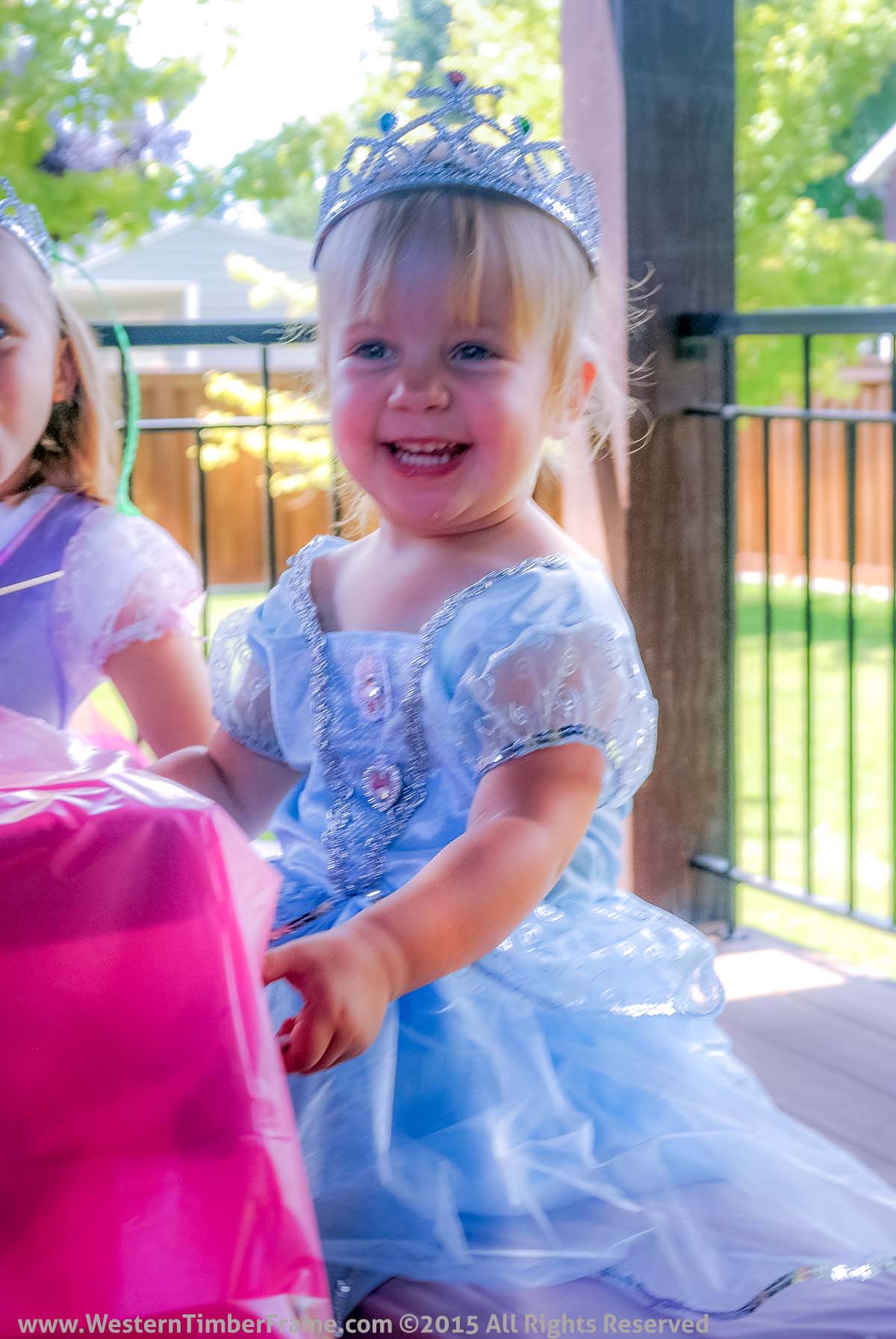 Happy Princess-party-birthday-westerntimberframe birthday princess party