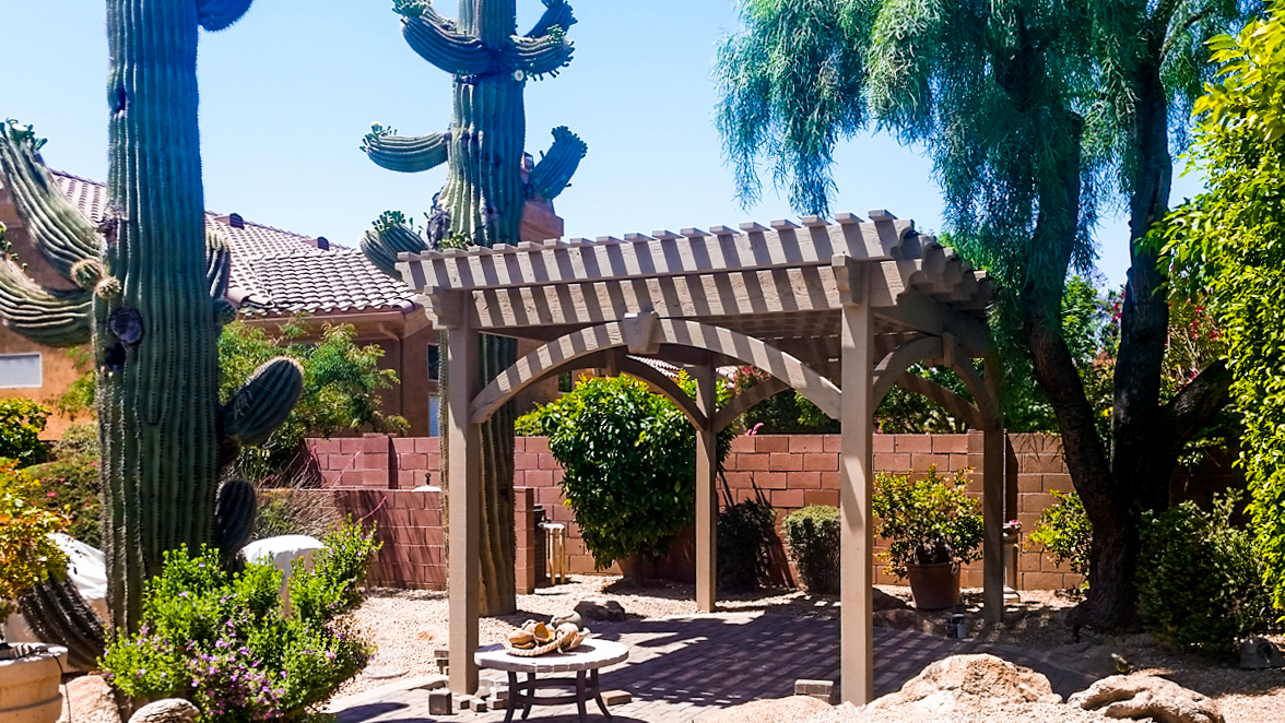 desert pergola cactus