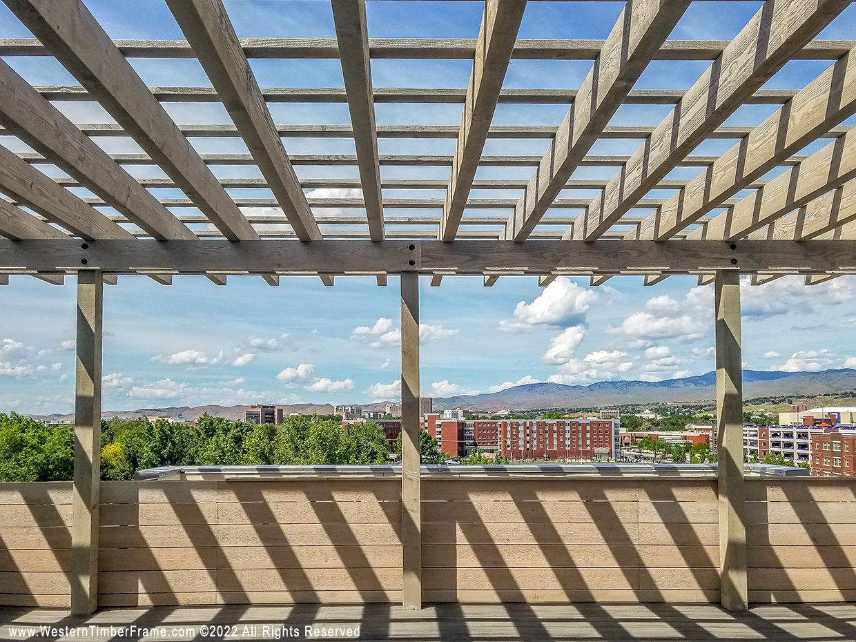 pergola vs pavilion rooftop