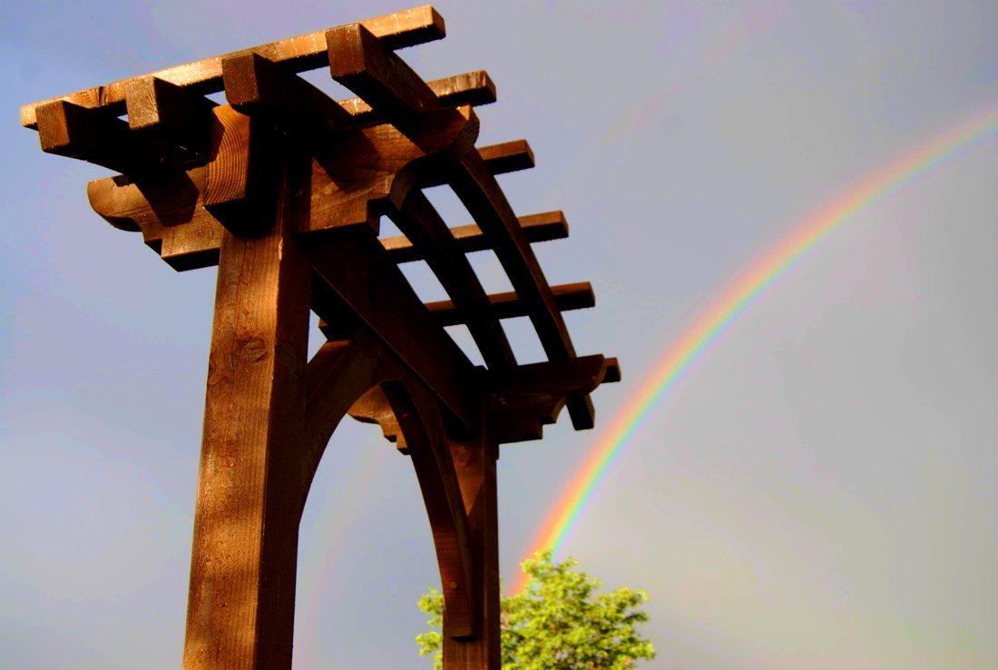 Lavery1_Arbor