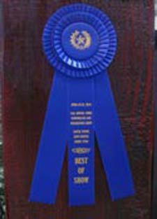 bestofshow best of show