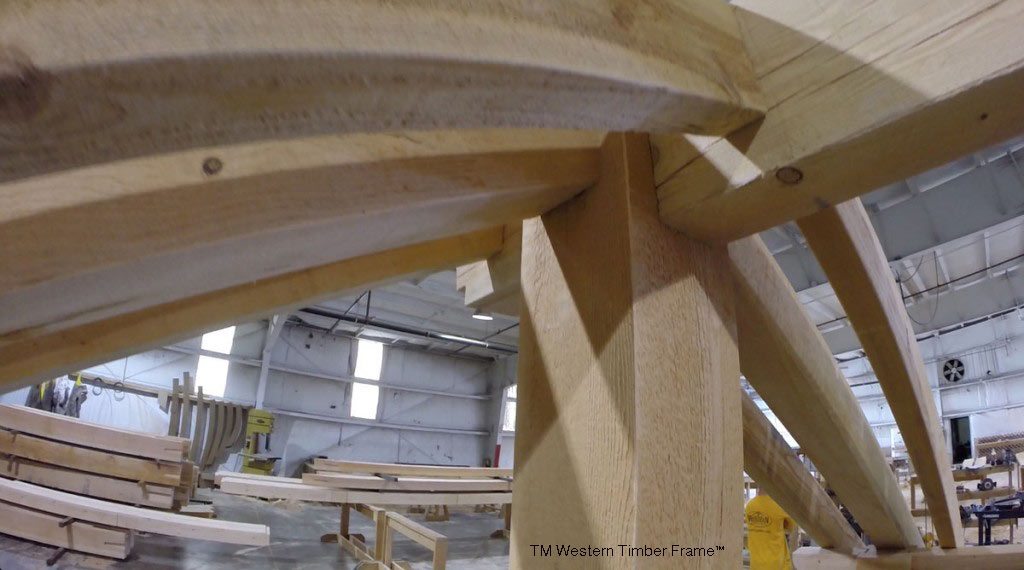 pergola-inside-shop-1024×570