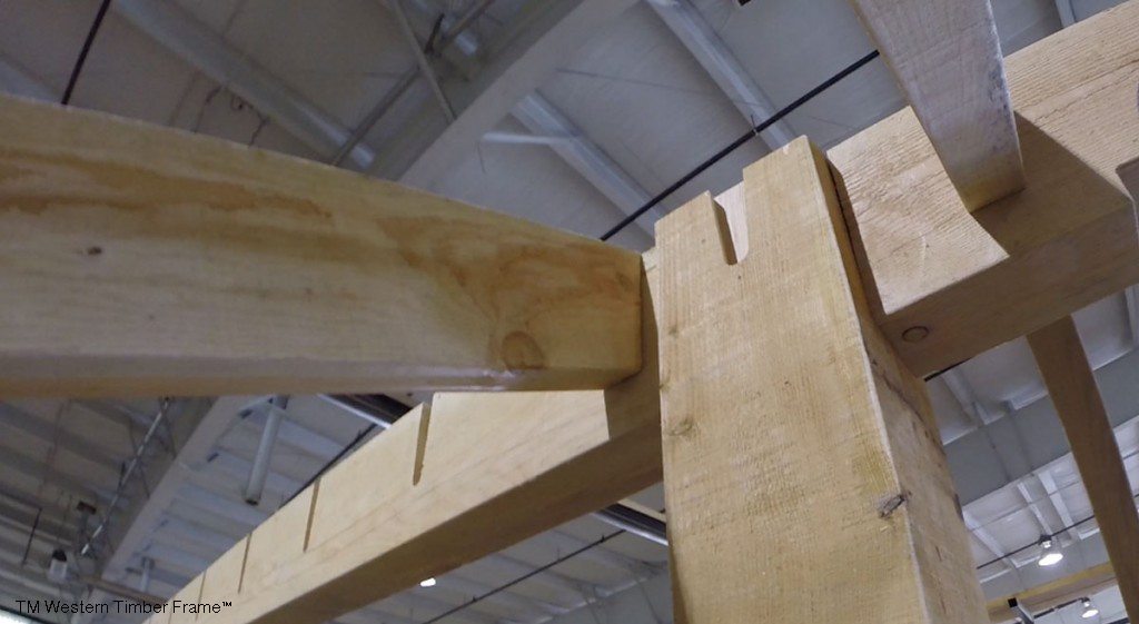 pergola-mortises-1024×561