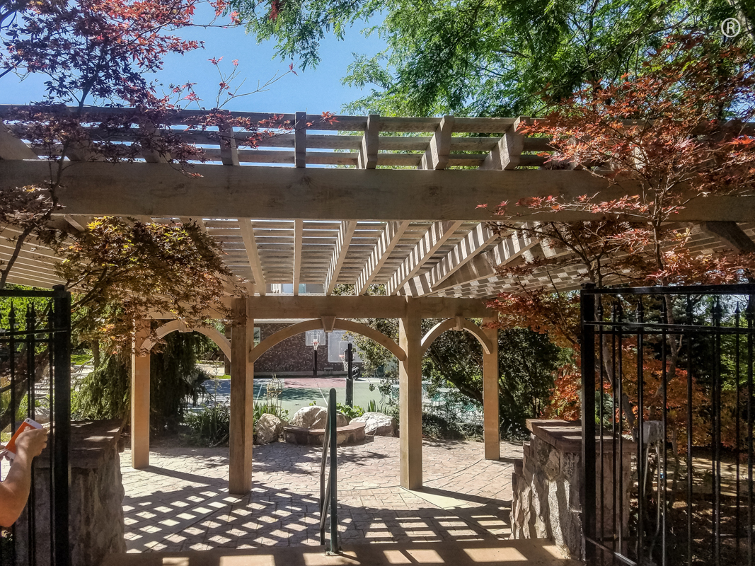 timber frame pergola