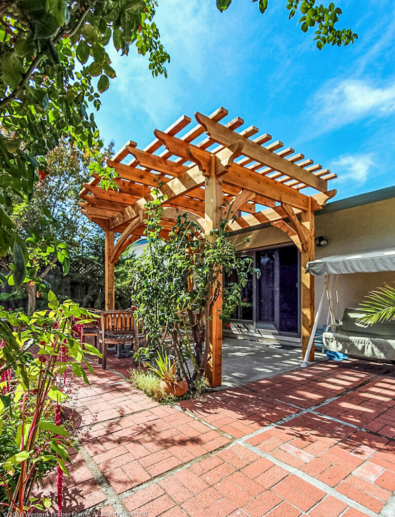50 Trees Planted — for Each Average-Sized Pergola Kit!