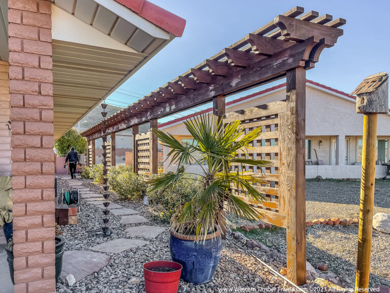Irregular Yard Space