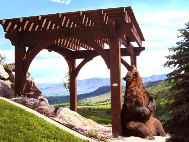 What Can Be Done to Prevent Checking in Over Sized Timbers?
