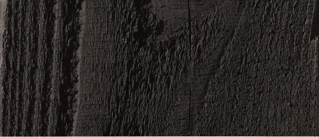 Close-up of Black Ebony timber stain with bold, textured grain