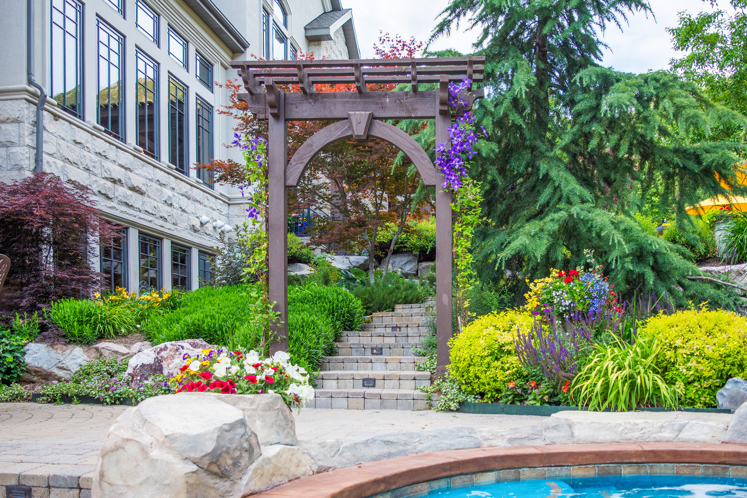 Timber garden arbor with arched beam and climbing flowers framing stone steps leading through a landscaped backyard.